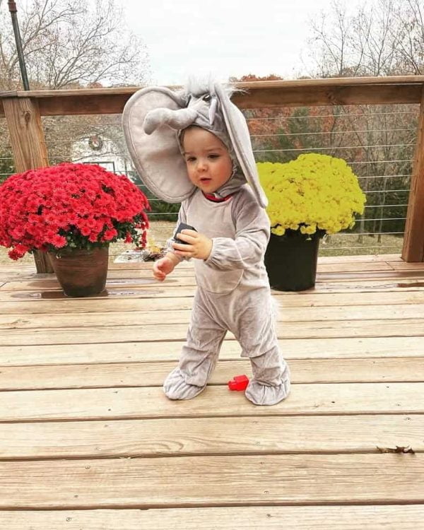 Toddler's elephant costume during Halloween in Excelsior Springs