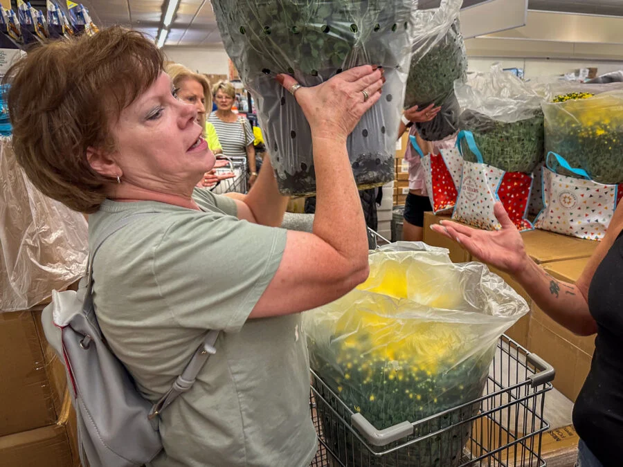 Mum Madness at Bargain Zone as Excelsior Springs Goes Crazy for Fall