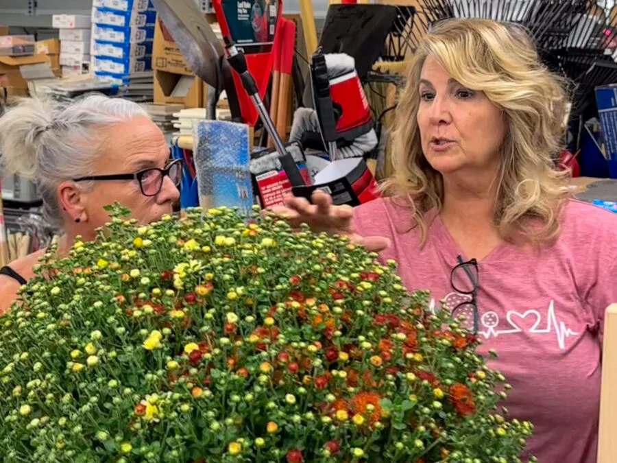 Mum Madness at Bargain Zone as Excelsior Springs Goes Crazy for Fall