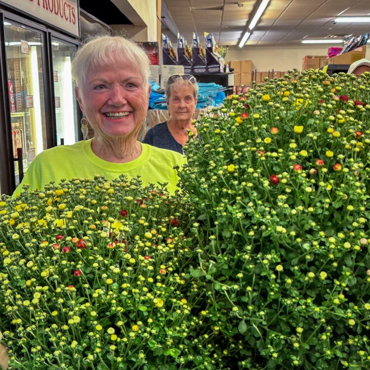 Mum Madness at Bargain Zone as Excelsior Springs Goes Crazy for Fall
